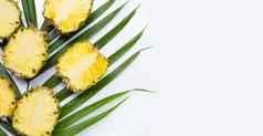 成熟的菠萝热带棕榈叶子前视图
