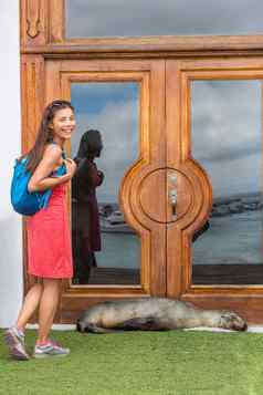 加拉帕戈斯群岛旅游有趣的图像海狮子阻塞通过酒店度假胜地