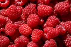 美味的新鲜的甜蜜的红色的树莓食物背景
