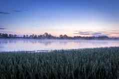 《暮光之城》池塘雾水夏天早....露水草