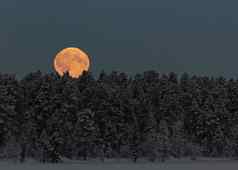 铅月亮挂起天空树雪冬天土地