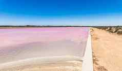紫色的闪亮的湖盐生理盐水