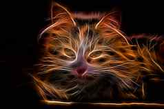 电效果发光的猫
