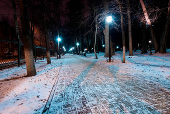 晚上公园冬天下降雪