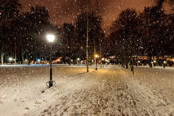 晚上公园冬天下降雪