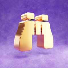 双筒望远镜图标黄金光滑的双筒望远镜象征孤立的紫罗兰色的天鹅绒背景