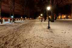晚上公园冬天下降雪