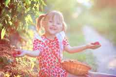 快乐微笑女孩夏天衣服坐在地面持有草莓浆果手