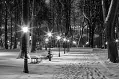冬天公园晚上单色