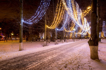 冬天公园晚上圣诞节装饰灯长椅路径树