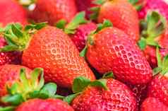 水果背景成熟的红色的草莓水果