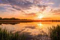 风景优美的视图美丽的日落日出池塘湖春天早期夏天晚上