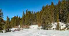 雪移动小径营中风科罗拉多州