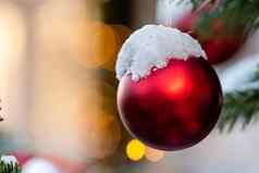 色彩斑斓的装饰白雪覆盖的圣诞节树分支机构