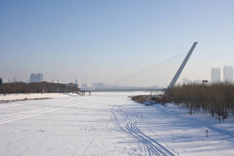斜拉桥桥城市哈尔滨