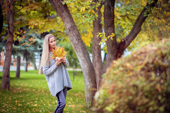 美丽的女孩灰色的开襟羊毛衫走城市公园收集秋天叶子花束