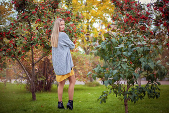 女孩灰色的开襟羊毛衫黄色的衣服秋天树红色的浆果秋天主题