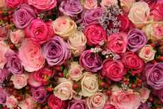 紫色的粉红色的玫瑰婚礼安排