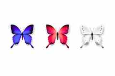 集色彩斑斓的蝴蝶孤立的白色背景向量插图时尚的设计元素