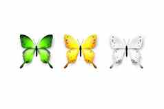集色彩斑斓的蝴蝶孤立的白色背景向量插图时尚的设计元素