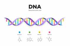 分子结构太太信息图表教育向量插图