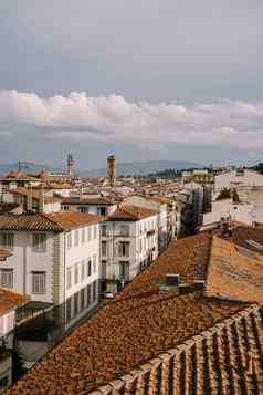 城市景观视图弗洛伦斯意大利圆顶宫殿旧