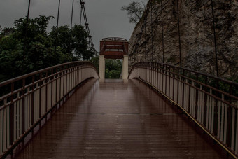 特写镜头照片木桥地板上雨反<strong>射<strong>灯</strong></strong>