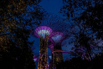 视图花园湾晚上新加坡