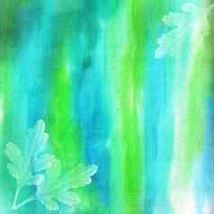 透明的橡木叶子蓝绿色水彩背景