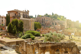 古老的废墟论坛罗马意大利