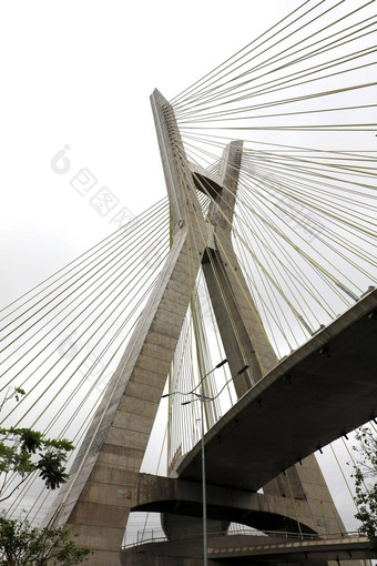 为什么paulo城市具有里程碑意义的斜拉桥桥巴西
