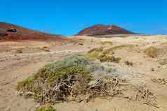 视图蒙大拿红火山植被沙子沙漠medanotenerife西班牙