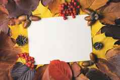 空白表纸的地方文本色彩斑斓的秋天叶子模板设计明信片