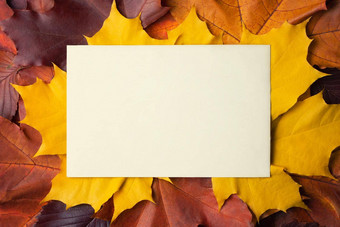 空白表纸的地方文<strong>本色</strong>彩斑斓的秋天叶子模板设计明信片