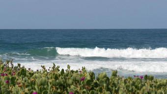大蓝色的潮波海滩加州海岸线美国太平洋海洋海岸绿色植物海海岸