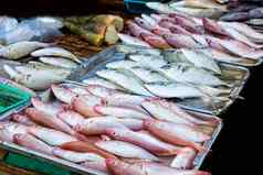 海洋鱼出售市场