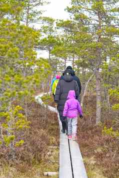 集团年轻的人走遮泥板书自然探索朋友徒步旅行书沼泽小道木板路爱沙尼亚