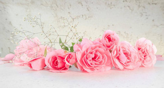 粉红色的玫瑰花瓣白色背景完美的背景问候卡片邀请