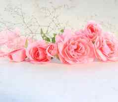 粉红色的玫瑰白色背景完美的背景问候卡片邀请婚礼生日情人节一天母亲的一天
