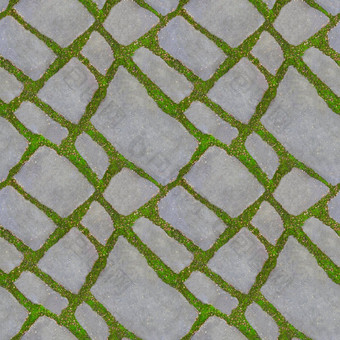 绿色草成长瓷砖人行道