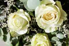 花束美丽的白色玫瑰完美的问候卡背景