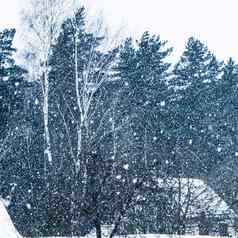 重降雪村背景冬天森林