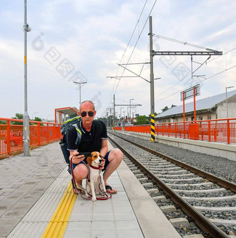 活跃的旅游背包电话等待火车男人。小猎犬号狗等待铁路站老旅游移动电话假期概念