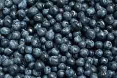 新鲜的蓝莓背景蓝莓浆果关闭