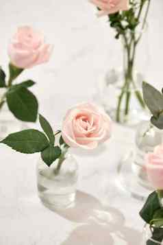 美丽的玫瑰花花瓶粉红色的背景问候卡女人的一天母亲一天