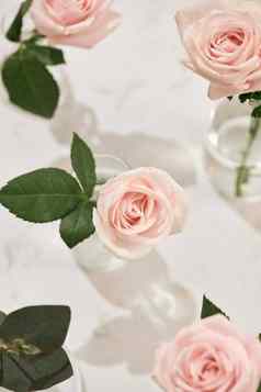 美丽的玫瑰花花瓶粉红色的背景问候卡女人的一天母亲一天