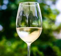 白色酒奢侈品餐厅夏天花园阳台酒品尝经验酒庄葡萄园美食之旅假期旅行