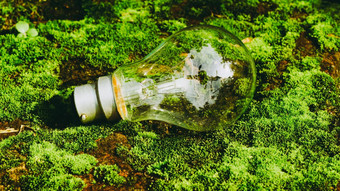 荧光光灯泡阳光绿色自然背景绿色业务经济生态工业开始的想法创新背景绿色<strong>最小化</strong>人类影响环境概念