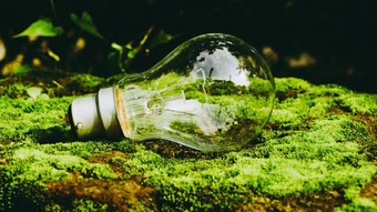 荧光光灯泡阳光绿色自然背景绿色业务经济生态工业开始的想法创新背景绿色最小化人类影响环境概念