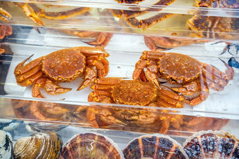 红色的王蟹塔拉蟹阿拉斯加王蟹海鲜市场函馆北海道